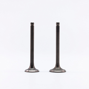 Клапаны (комплект) 110см3 152FMH X-TECH